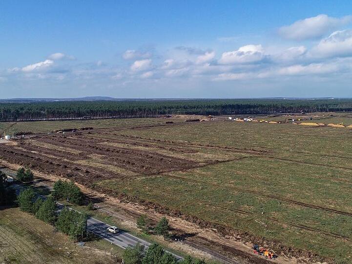 Die gerodete Waldfläche auf dem Gelände der künftigen Gigafactory von Tesla.
