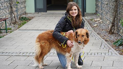 Tierheim-Sprecherin Kristina Berchtold mit Lexi (4). Die Hundedame wünscht sich sehnlichst ein neues Zuhause. Sie wurde schon einmal abgeholt und kam zurück.
