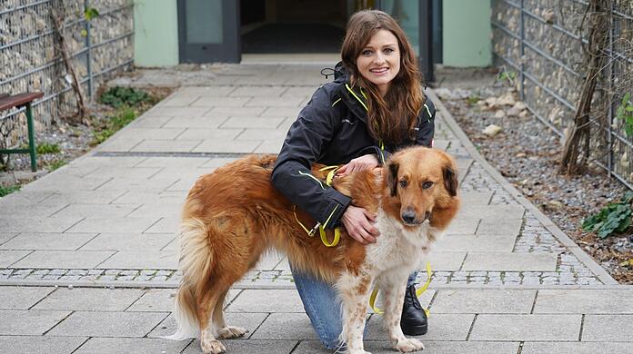 Tierheim-Sprecherin Kristina Berchtold mit Lexi (4). Die Hundedame wünscht sich sehnlichst ein neues Zuhause. Sie wurde schon einmal abgeholt und kam zurück.