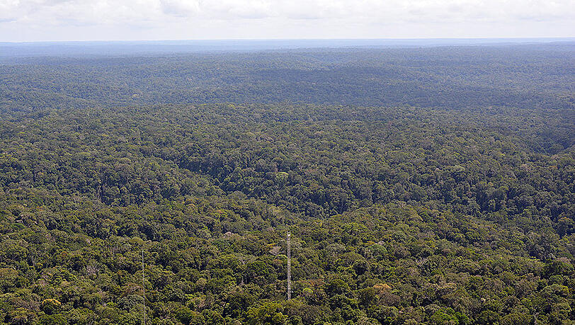 150 Kilometer nordöstlich von Manaus: Das "Amazonian Tall Tower Observatory" (Atto). 150 Kilometer nordöstlich von Manaus: Das "Amazonian Tall Tower Observatory" (Atto).