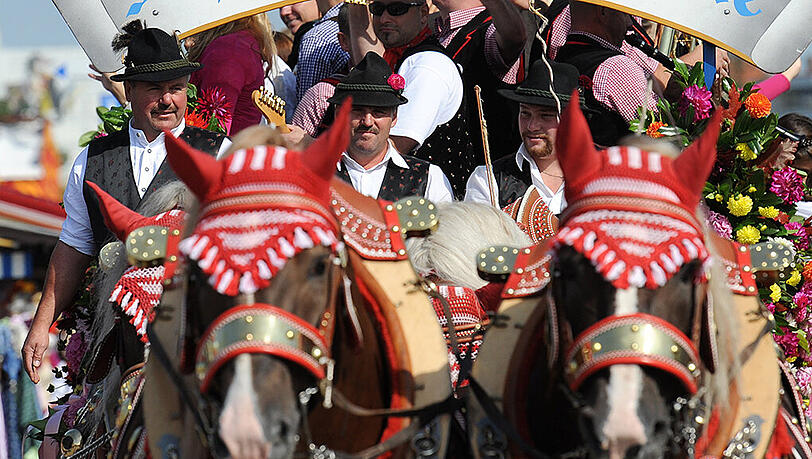 Die Hufen der Pferde von Hacker-Pschorr und Hofbräu seien während der Wiesn in schlechtem Zustand gewesen. (Archivbild)