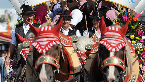 Die Hufen der Pferde von Hacker-Pschorr und Hofbräu seien während der Wiesn in schlechtem Zustand gewesen. (Archivbild)