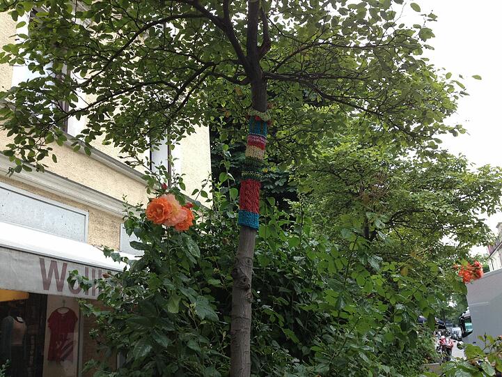 Ein Hingucker in der Volkartstraße: Den Bäumen wurden kleine Wollhüllen um die Stämme gestrickt.