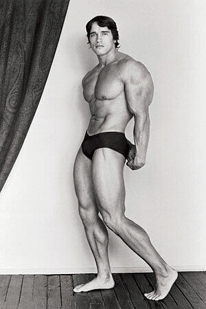 Als Muskelmann machte Arnie einst Karriere - und kam so nach Hollywood.