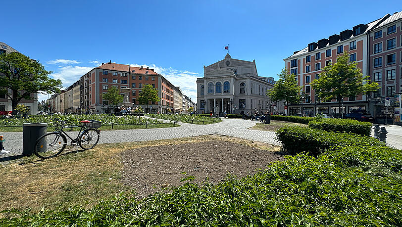 Karg schaut es zur Zeit am G&auml;rtnerplatz aus. Zw&ouml;lf B&auml;ume sollen dort nachgepflanzt werde. Das Foto hat die CSU-Fraktion am Montag aufgenommen.