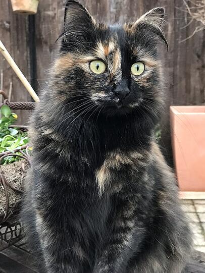 Sally