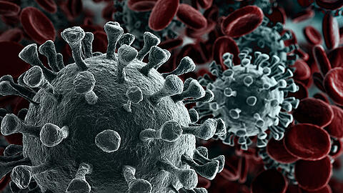 Das Corona-Virus unter dem Rastermikroskop.