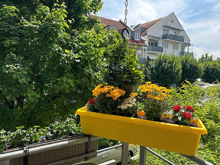 "Hallo Lotto, hallo Abendzeitung - Dankeschön für den tollen Kasten! Auf einen schönen, bienenreichen Sommer!"