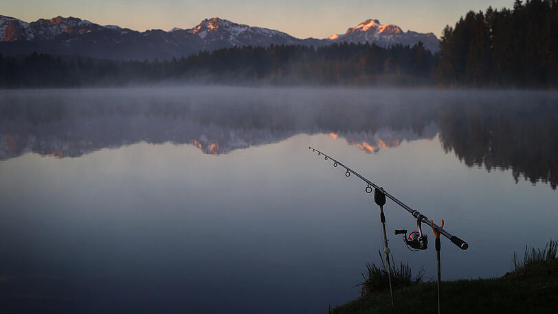 Ein Angler hat kurz vor Sonnenaufgang am Ufer des Schmuttersees bei Roßhaupten seine Angel aufgestellt.