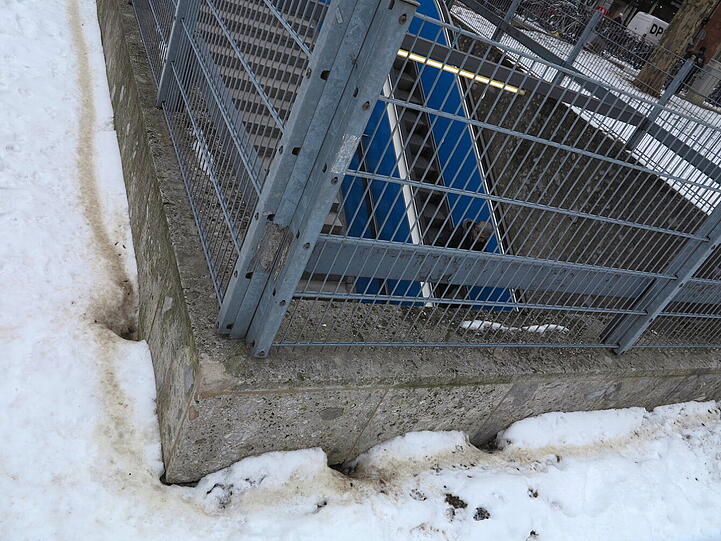Am Marienhof &ndash; beziehungsweise darunter &ndash; haben es sich die Ratten gemütlich gemacht.