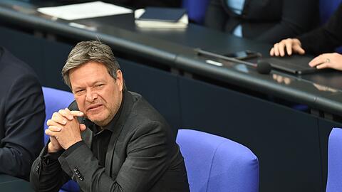 "Ich hätte es mir gewünscht, dass wir mit dem Paket auch eine Förderung für die Produktion von Solarpaneelen in Deutschland beschließen": Robert Habeck.