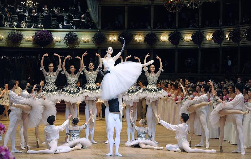 Opernball 2013 in Wien: Die besten Bilder