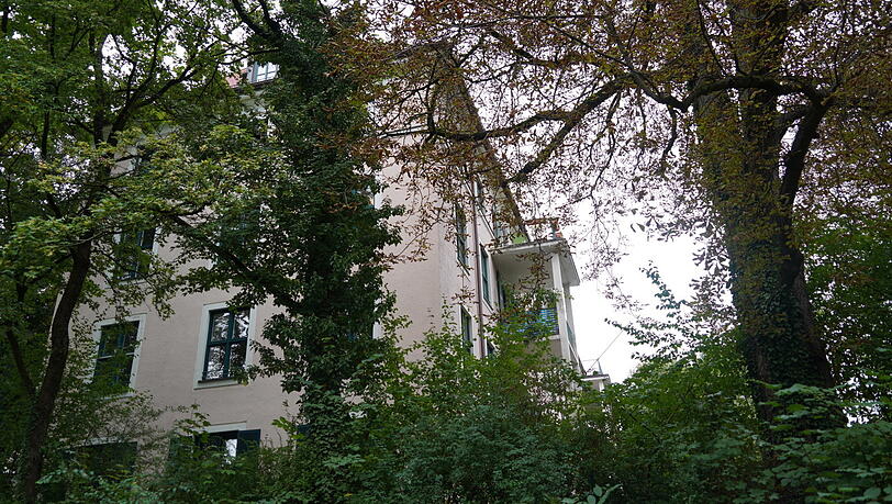 Viel Grün ist rund ums Waisenhaus.