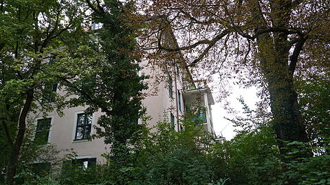 Viel Grün ist rund ums Waisenhaus.