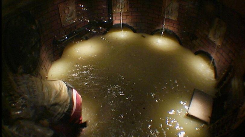 Das ängstliche It-Girl hält es jedoch nicht lange in dem von Tieren bewohnten Abwassersystem aus und bricht die Prüfung ab.
