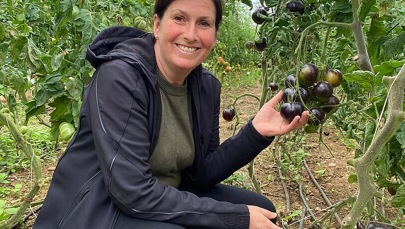 Antonia Habeker in ihrem Tomaten-Gewächshaus. Antonia Habeker in ihrem Tomaten-Gewächshaus.