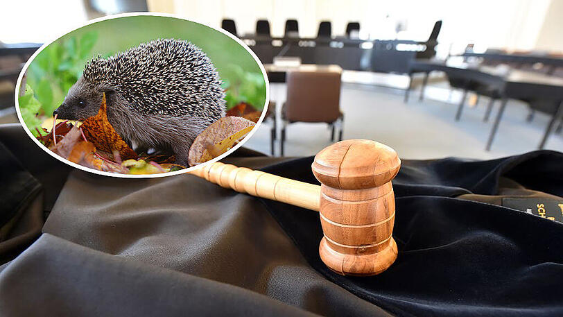 Die Männer rollten erst einen Igel über die Straße, dann attackierten sie Passanten, die eingreifen wollten. Jetzt startet der Prozess.