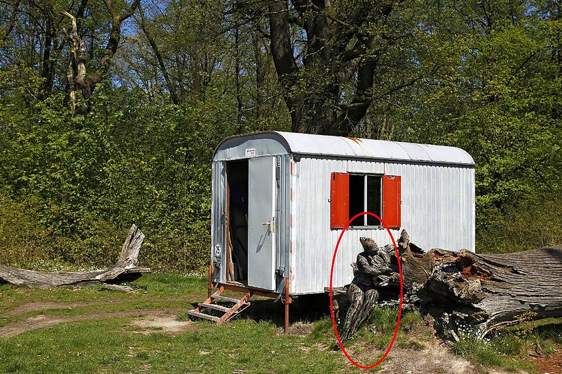 Hätten Sie die Nackte gefunden? Klicken Sie durch die Bilderrätsel.