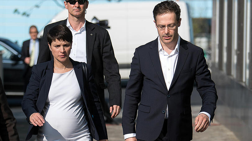 Wird künftig zu Hause nach dem Rechten sehen: Frauke Petry