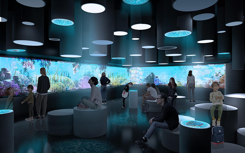 Sieht ein bisschen nach Weltraum aus: das Aquarium.