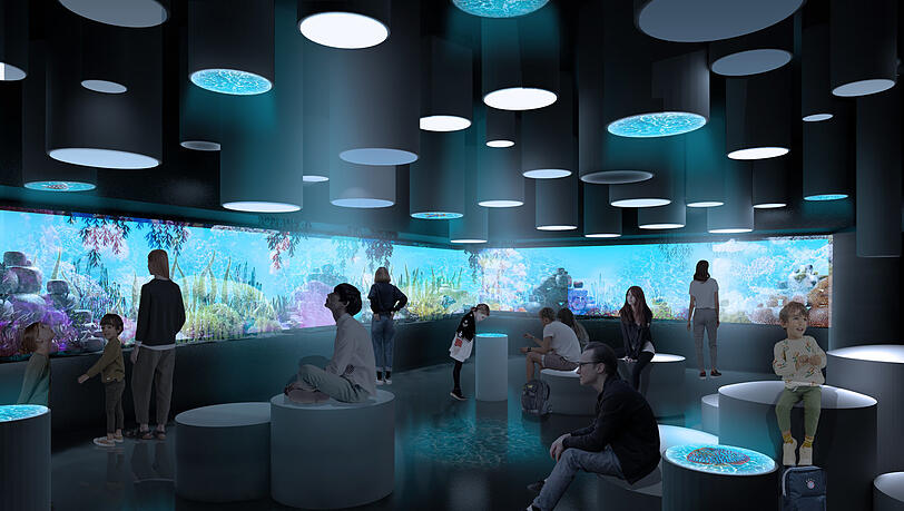 Sieht ein bisschen nach Weltraum aus: das Aquarium.