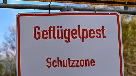 Nach Angaben des Friedrich-Loeffler-Instituts sind immer mehr Geflügelhaltungen in Deutschland von der Geflügelpest betroffen. In Betrieben in neun Bundesländern gab es bislang Seuchenausbrüche. (Symbolbild).
