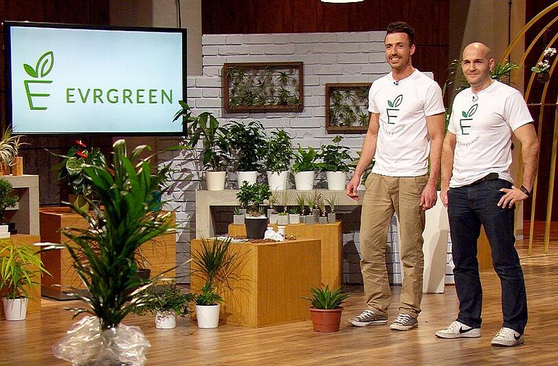 Philip Ehlers (38) aus Berlin und Jan Nieling (37) aus Köln verkaufen in ihrem Online-Shop "Evrgreen" vielfältige Pflanzen, die besonders einfach zu pflegen sind und mit "Erste Hilfe"-Set und Bedienungsanleitung geliefert werden. Sie erhoffen sich 500.000 Euro gegen 20 Prozent Firmenanteile.