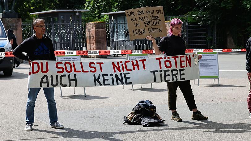 Schon seit Tagen gibt es Proteste vor dem Nürnberger Tiergarten. Nun soll ein Camp folgen. (Archivbild)