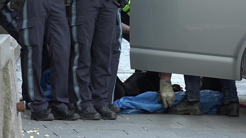 Chaos nach den Angriffen. Die Polizei muss den Kadaver des erschossenen Rottweilers abtransportieren.