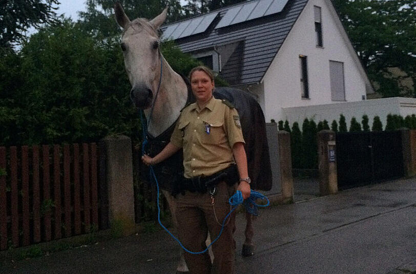 Die Polizei hatte keine Probleme das Pferd einzufangen.