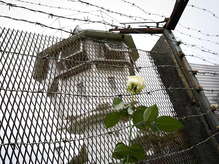 Eine weiße Rose steckt im ehemaligen Grenzzaun. Foto: David-Wolfgang Ebener/dpa/Archivbild
