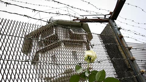 Eine weiße Rose steckt im ehemaligen Grenzzaun. Foto: David-Wolfgang Ebener/dpa/Archivbild