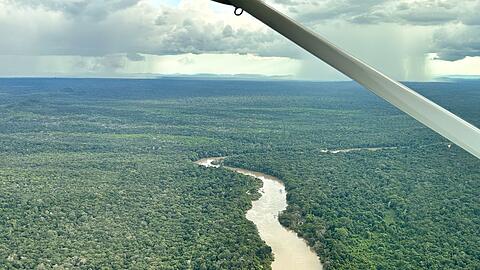 Der Amazonas-Regenwald steht beim Wahlkampf dieses Jahr weniger im Fokus. (Archivbild)