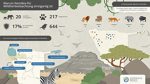 L&ouml;we, Elefant, Leopard, Nashorn und B&uuml;ffel: wo in Namibia die Big Five zu sehen sind.