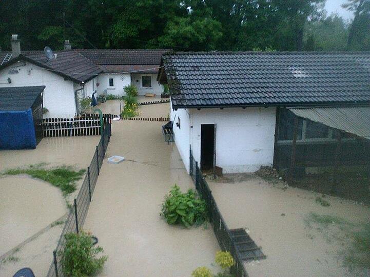 Land unter: das Tierheim Freilassing am 2. Juni 2013.