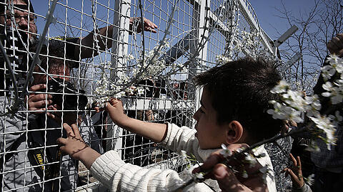 An der Grenze: Ein Flüchtlingskind steckt Blumen in den Zaun bei Idomeni zwischen Griechenland und Mazedonien.