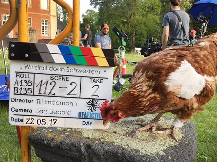 Kein gewöhnliches Huhn: Sieglinde bei Dreharbeiten zu einem Film.