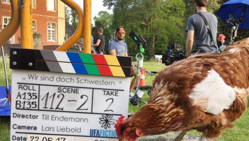 Kein gewöhnliches Huhn: Sieglinde bei Dreharbeiten zu einem Film. Kein gewöhnliches Huhn: Sieglinde bei Dreharbeiten zu einem Film.