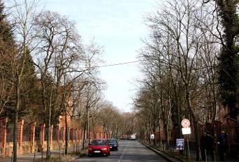 In Zukunft sollen echte Eichhörnchen sicher die Straße überqueren können. Eine Videokamera dokumentiert, ob die Tiere die Konstruktion annehmen.