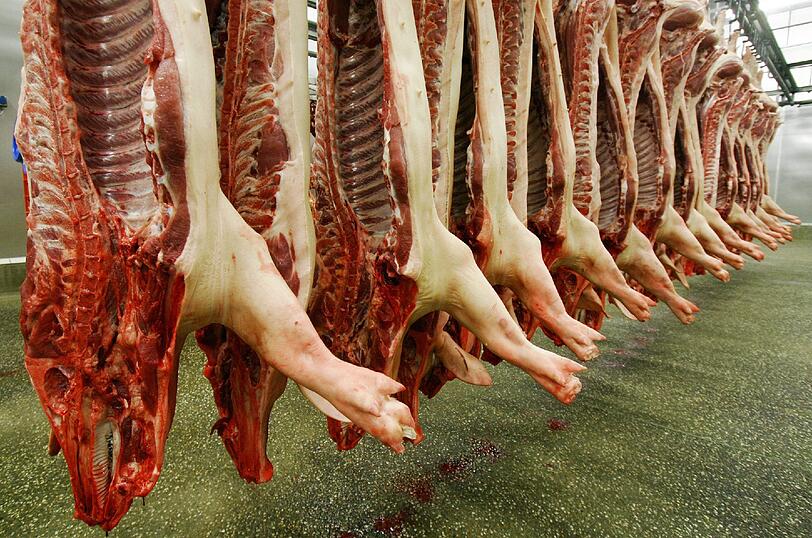 Skandal in bayerischen Schlachthöfen: Tiere müssen weiter leiden!