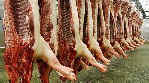 Skandal in bayerischen Schlachthöfen: Tiere müssen weiter leiden!