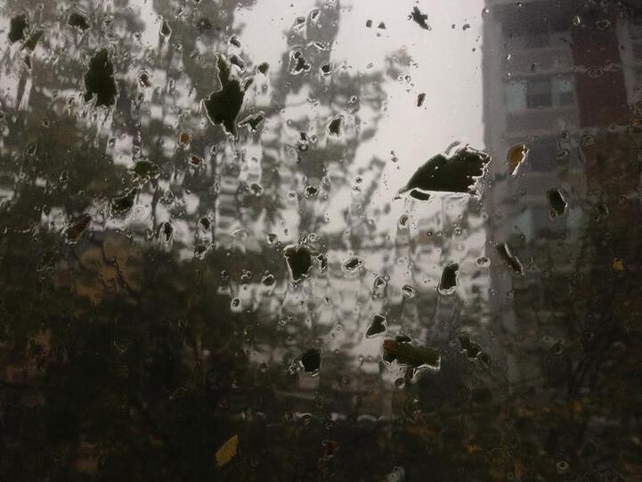 Hier ein Bild aus Boston: Blätter werden von den Bäumen gerissen und peitschen im Regen gegen die Fensterscheiben.