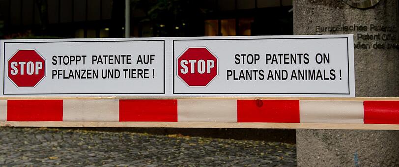 Demo gegen Patente auf Pflanzen und Nutztiere: Am Mittwoch sperrten Aktivisten symbolisch einen Eingang des Europäischen Patentamtes ab.