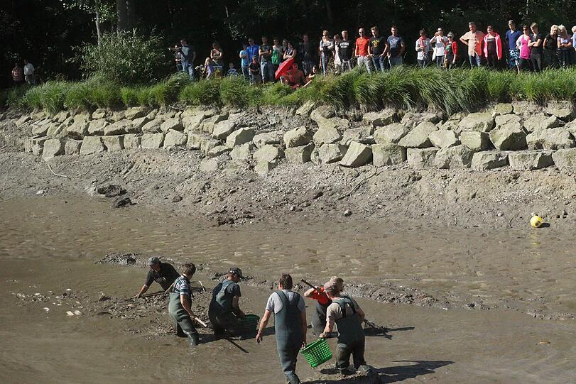 Bilder vom Badesee: Wo ist die Alligator-Schildkröte vom Oggenrieder Weiher?