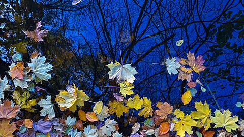 Im Herbst zeigt sich die Natur bunt