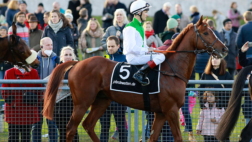 Mendocino mit seinem Jockey René Piechulek, trainiert in München von Sarah Steinberg, kurz vor dem Start im Großen Allianz Preis von Bayern 2021.
