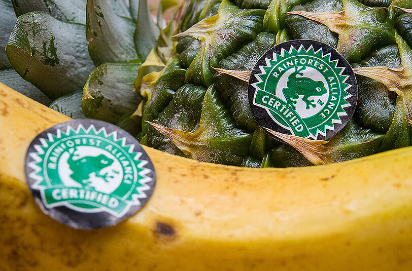 Laut Oxfam sind auch auf Plantagen, die mit dem weit verbreiteten Nachhaltigkeitssiegel der Rainforest Alliance - erkennbar am grünen Frosch - zertifiziert wurden, die Zustände katastrophal.