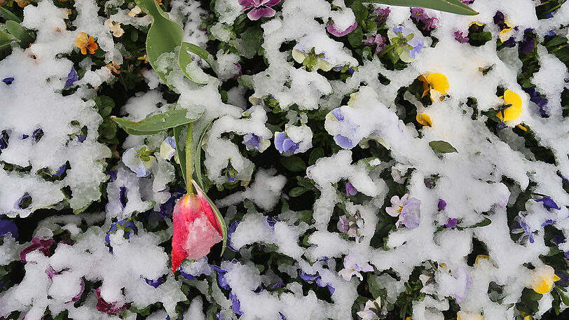 Bereits am Montag hatte es in Franken geschneit.