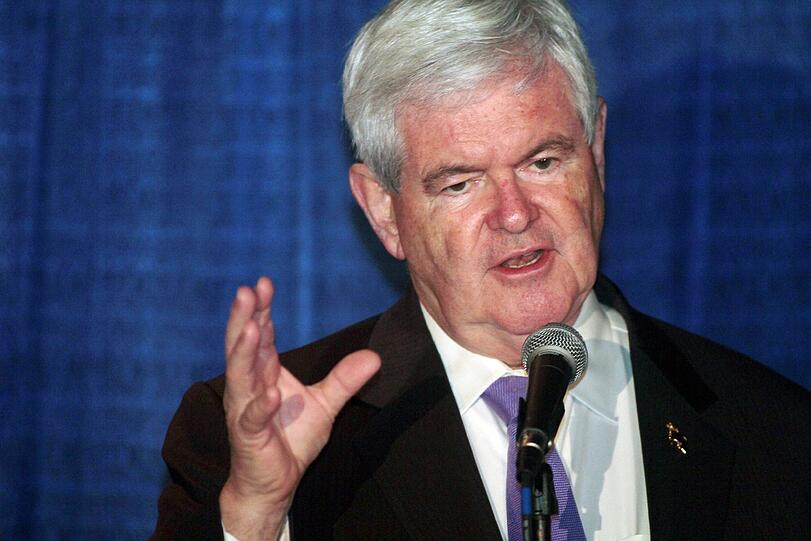 Newt Gingrich: Der ehemalige Lobbyist und Kongressabgeordnete wirkt so ein bisschen wie der Fels in der Brandung - schon immer da, sturmerprobt, aber eben auch witterungsgeprägt, ja vielleicht sogar ein wenig marode. Kritiker murmeln gar, er sei aus dem politischen Gestern. Doch dort war er immmerhin eine nicht zu ignorierende Größe und zwar so eine, die nicht nur ab und zu den US-Haushalt boykottierte, sondern eben auch mit seiner Doppelmehrheit in Senat und Abgeordnetenhaus Ex-Präsident Bill Clinton ganz schön ins Schwitzen brachte... Aber gut, wer brachte das seinerzeit nicht...