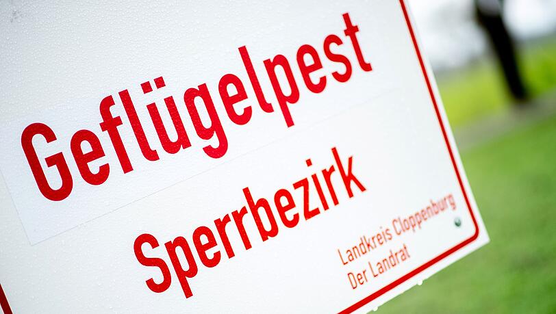 Auch im Augsburger Zoo wurde nun Geflügelpest nachgewiesen, der Zoo bleibt aber offen. (Symbolbild) Auch im Augsburger Zoo wurde nun Geflügelpest nachgewiesen, der Zoo bleibt aber offen. (Symbolbild)